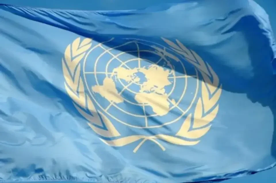 L’ONU s’inquiète du financement de la biodiversité : 382 millions de dollars mobilisés face à un objectif de 200 milliards par an